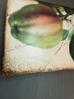 Sid Dickens Memory Block Tile T-131 Aphrodite s Apple Garden  Rare Retired