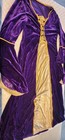 Medieval Lady Renaissance Faire Velvet Queen Game Of Thrones Gown Plus Size