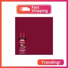 Krylon K05560007 Colormaxx Spray Paint And Primer For Indoor outdoor Use  Satin