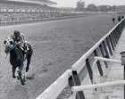 Secretariat 8 X 10 Photos  Belmont Stakes   Lot Of 2    Horse Race Triple Crown