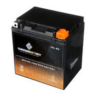Ytx30l-bs  High Performance - Maintenance Free - Sealed Agm Motorcycle Battery