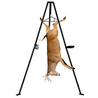 500lbs Deer Hanger For Skinning Deer Hoist Tripod W  Lifting Winch Tool Tray