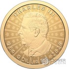 Maple Leaf Ultra High Relief 1 Oz Gold Coin 200  Canada 2026