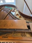 Antique C  Bechstein Grand Piano - German  Circa 1926