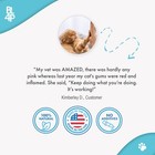Cat Dental Care   Bad Breath Remedy