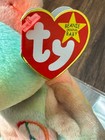 Ty Beanie Baby Peace The Bear 8  Mwmts Animal Stuffed Toy 5th Generation