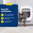 Petsafe Big Cat Door  Interior exterior  4-way Lock  Soft-close  Up To 25lb   Pu