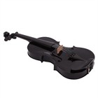Black Acoustic 4 4 Full-size Violin  Velvet Case  Ornate Bow  Rosin