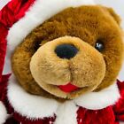 Dan Dee Teddy Bear 13 Inch Snowflake Starburst Christmas Plush Stuff  Santa 2005