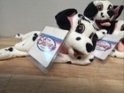 Disney Store 101 Dalmatians Penny Jewel Lucky Lot Of 4 Bean Bag Plush