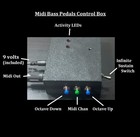 13 Note Midi Bass Pedals -     Sustain   Oct Up   Down   Midi Chan   Free Ship  