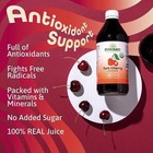 Dynamic Health Organic Tart Cherry Juice Concentrate Ultra 5x 16 Fl  Oz