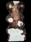 Xxl Curly Birdseye Maple Burl Wood Blank  Turning Wood  Wooden Bowl Blank