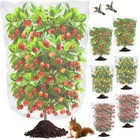 Garden Bird Netting 6 Pack 3 2 X 5 2 Ft Blueberry Bush Cover Insect Fruit Plant