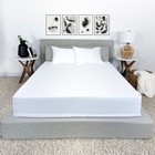 Waterproof Mattress Protector Zippered Hypoallergenic Bed Bug Dust Mite Cover Us