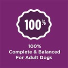 Purina Dog Chow Complete Adult Dry Dog Food  High Protein Real Lamb  18 5 Lb Bag