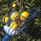 Deep Basket Fruit Picker Head Convenient Fruit Picker Catcher Apple Peach 