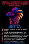 Live Betta  Multi Ne  n Hulk Seller Usa        X     Real Fish 