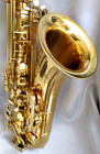 Prelude  conn-selmer  Ts711 Tenor Sax W protec Max Case   Runyon 88 Slimline Mpc