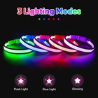 Led Dog Collar Usb Rechargeable Light Up Safety Collar - All Colors  Sizes
