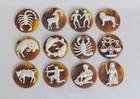 12 Vintage New Astrology Birth Signs Of  Zodiac 44 2 Mm Molded Cabochons Cameo