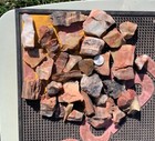       rr        Top Quality Arizona Rainbow Petrified Wood  Over 4 Lb      