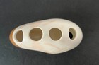 Tiger Nautilus Shell Toothbrush Holder Better Homes   Gardens Beach Ocean Design