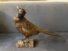 Ringneck Pheasant Taxidermy On Wood Stand With  Driftwood Base