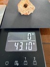 Hag Stone 43 10 Grams