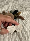 Ty Beanie Babies Claude The Crab 1996 Pcv Nw tags Prot Tag  bb830 Error  Bst Off