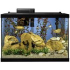 20-gallon Led Glass Aquarium Starter Kit With Filter Heater   Plants Led Hood