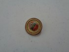 Ww1 Milwaukee County Council Of Defense Badge Lapel Pin Rare Vintage Antique W h