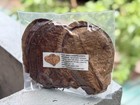 100x10  5 grade A Catappa Indian Almond Leaves Natural Tannin Water Conditioner