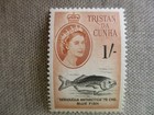 Tristan Da Cunha  Scott  38  Mnh