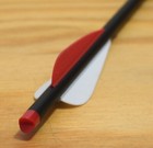 20  Crossbow Carbon Bolts Super Heavy Hobo Archery White red Qty 3 - 12 Weighted
