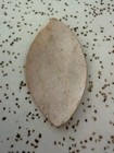 Antique Miniature Momento Mori Praying Woman Illustration Drawing For Locket