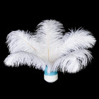 20 Pcs Natura White Ostrich Feathers Plumes 6-8 Inch 15-20 Cm  Bulk Wedding Part