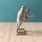 Real Frog Playing Violin Vintage Mexican Folk  Art Anthropomorphic Taxidermy 7   