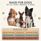 Natural Dog Company Skin   Coat Soft Chews  pack Of 2  180 Counts
