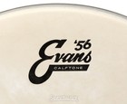 Evans Calftone Drumhead - 14 