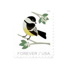 Usps Stamps Featuring Birds 5sheet 100pcs 