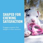 Kong Puppy Goodie Bone With Rope Natural Rubber Chew Toy For Xs Puppies Pink