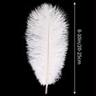 Tharaht White Ostrich Feathers 24pcs Natural Bulk 8-10inch 20cm-25cm For Craf   