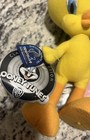 Tweety Bird With Flower Plush Looney Tunes Warner Bros 10inch Applause Inc