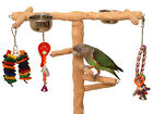 Deluxe Medium Nu Perch Parrot Climbing Tree - For Small To Medium Parrots