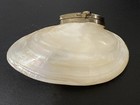 Vintage Mother Of Pearl Shell Trinket Snuff Pill Box Handmade Clam Shell