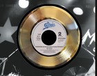 Stevie Ray Vaughan Say What Poster Framed Gold 45 Record Display