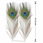 Tharaht 12pcs Peacock Feather Natural In 10-12inch-small Eyes-12pcs  Green