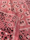 True Vintage 1940s Pink Western Bandana Fast Color 100  Cotton Rn 13960