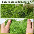 Fake Moss For Plants Indoor  3 5oz Dual-color 100  Light   Dark Green